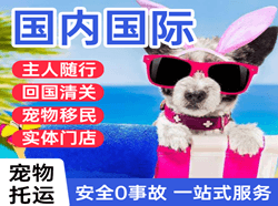 大连机场托运国际宠物托运 【国